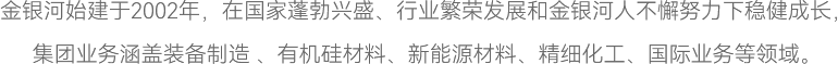 合乐HL8集团始建于2002年，在国家蓬勃兴盛、行业繁荣发展和合乐HL8集团人不懈努力下稳健成长，
集团业务涵盖装备制造 、有机硅材料、新能源材料、精细化工、国际业务等领域。